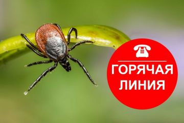О Всероссийской горячей линии по профилактике клещевого энцефалита и инфекций, передающихся клещами.